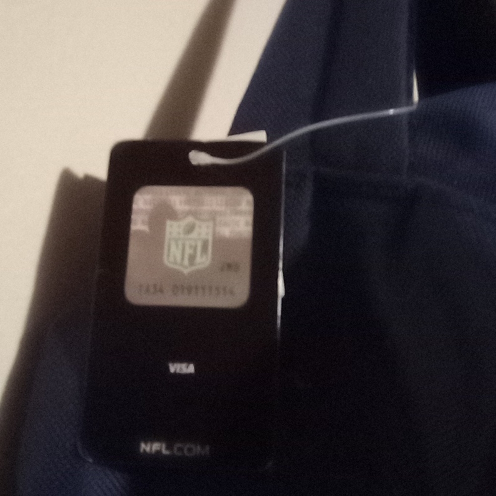 Tennessee Titans NFL backpack - Picture 7 of 7